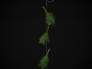 Hanging Dills Modelo 3D