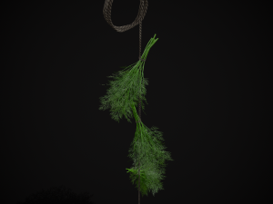 Hanging Dills Modèle 3D
