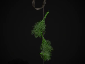 Hanging Dills 3D Model
