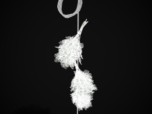 Hanging Dills Modèle 3D