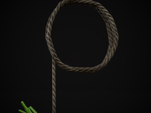 Hanging Dills Modèle 3D