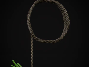 Hanging Dills 3D Model