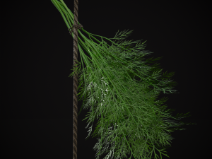 Hanging Dills Modèle 3D