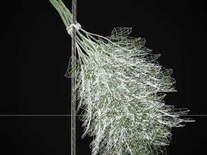 Hanging Dills 3D Model