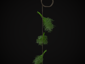 Hanging Dills Modèle 3D