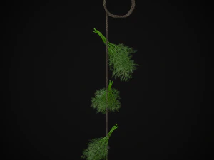 Hanging Dills 3D Model