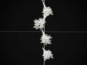 Hanging Parsley 3D Model