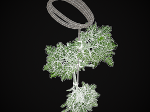 Hanging Parsley 3D Model