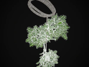 Hanging Parsley 3D Model
