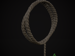 Hanging Parsley 3D Model
