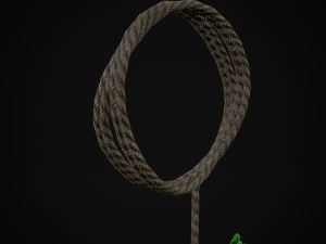 Hanging Parsley 3D Model