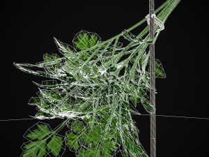 Hanging Parsley 3D Model