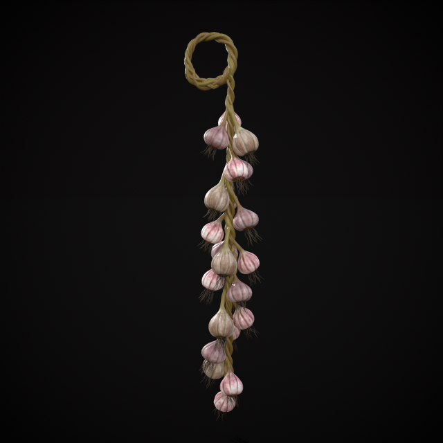 Hanging Garlic Modelo 3D .c4d .max .obj .3ds .fbx .stl .blend 