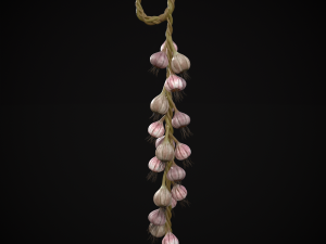 Hanging Garlic 3Dモデル