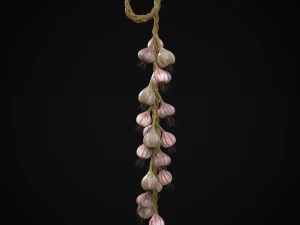 Alho Pendurado Modelo 3D