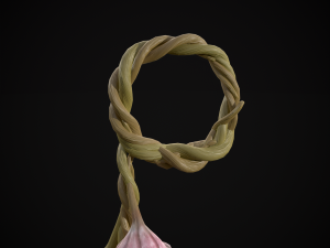 Hanging Garlic Modelo 3D