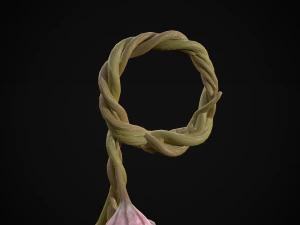 Hanging Garlic 3D Model