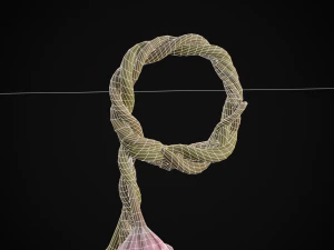 Hanging Garlic 3D Model