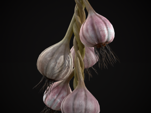 Hanging Garlic Modelo 3D
