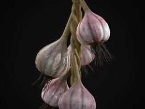 Hanging Garlic 3D Model