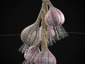 Hanging Garlic 3D Model