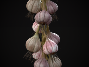 Hanging Garlic Modelo 3D
