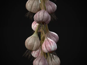 Hanging Garlic 3D Model