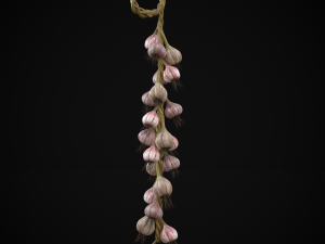 Hanging Garlic Modelo 3D