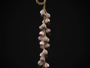 Hanging Garlic 3D Model