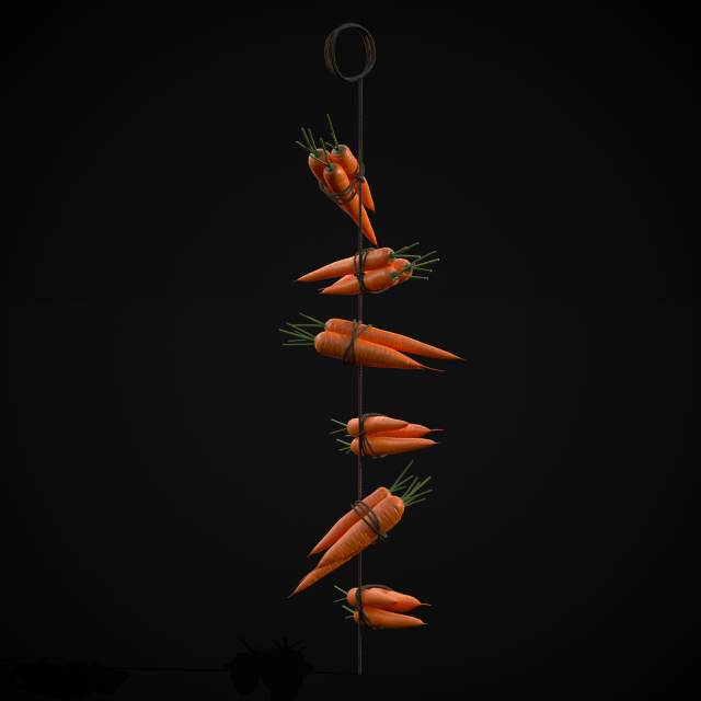 Hanging Carrots 3D-Modell .c4d .max .obj .3ds .fbx .stl .blend 
