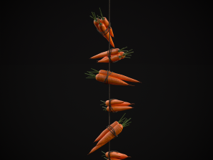 Hanging Carrots 3D-Modell