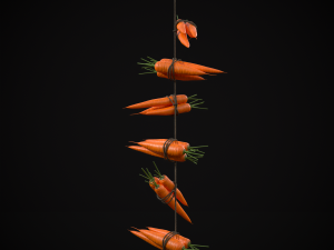 Hanging Carrots 3D-Modell