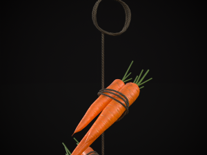 Hanging Carrots 3D-Modell