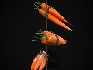 Hanging Carrots 3D-Modell