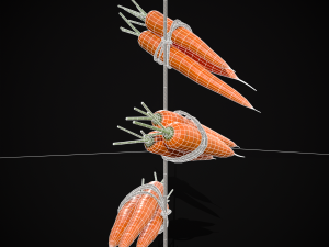 Hanging Carrots 3D-Modell