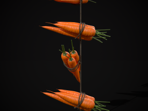 Hanging Carrots 3D-Modell