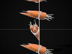 Hanging Carrots 3D-Modell