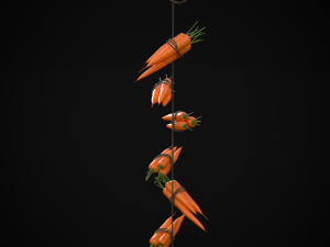 Hanging Carrots 3D-Modell