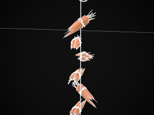 Hanging Carrots 3D-Modell