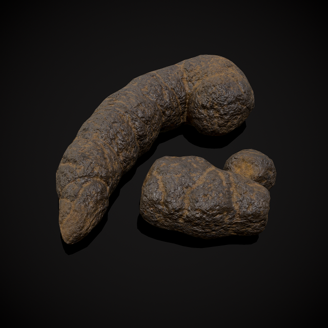 Dog Poop 3Dモデル .c4d .max .obj .3ds .fbx .stl .blend 