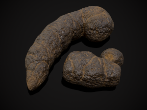 Dog Poop 3D Model
