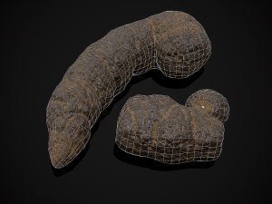 Dog Poop 3Dモデル