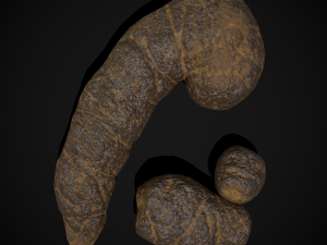 Dog Poop 3Dモデル