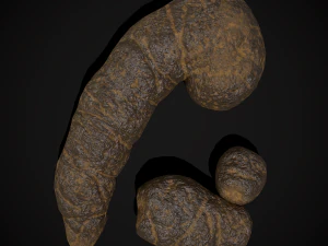 Dog Poop 3D Model