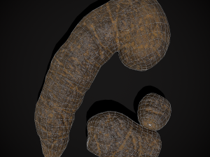 Dog Poop 3Dモデル