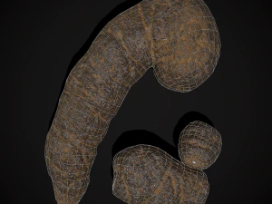 Dog Poop 3D Model