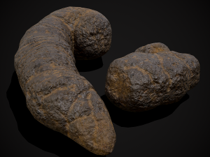 Dog Poop 3Dモデル