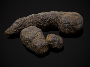 Dog Poop 3Dモデル