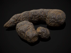 Dog Poop 3D Model