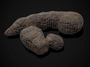 Dog Poop 3Dモデル